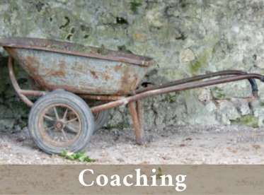 Coaching